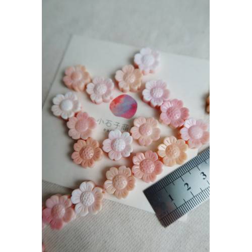 女王粉貝-波斯菊16mm (1入)